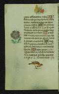 W.427, fol. 57v