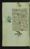 W.427, fol. 58v