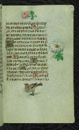 W.427, fol. 59r