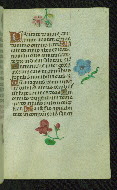 W.427, fol. 60r