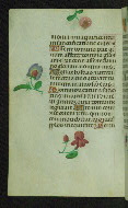 W.427, fol. 60v