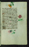 W.427, fol. 61r
