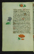 W.427, fol. 61v