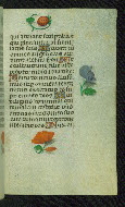 W.427, fol. 62r