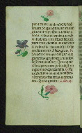 W.427, fol. 64v