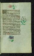 W.427, fol. 65r