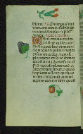 W.427, fol. 65v