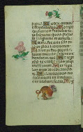 W.427, fol. 67v