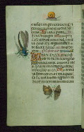 W.427, fol. 71v