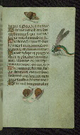 W.427, fol. 72r
