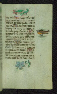 W.427, fol. 73r