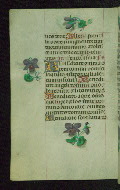 W.427, fol. 73v