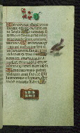 W.427, fol. 75r