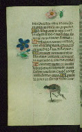 W.427, fol. 77v