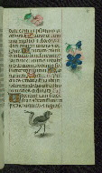 W.427, fol. 78r