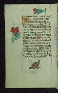 W.427, fol. 78v