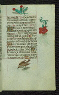 W.427, fol. 79r