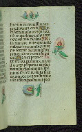 W.427, fol. 80r