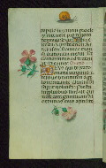 W.427, fol. 80v