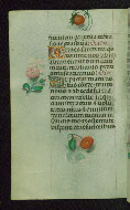 W.427, fol. 81v