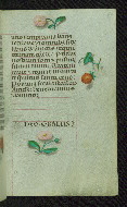 W.427, fol. 82r