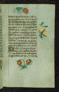 W.427, fol. 87r