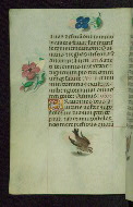 W.427, fol. 87v