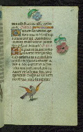 W.427, fol. 88r