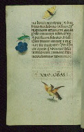 W.427, fol. 88v