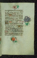 W.427, fol. 91r