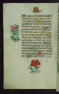 W.427, fol. 91v