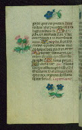 W.427, fol. 92v