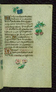 W.427, fol. 93r