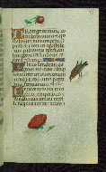 W.427, fol. 94r