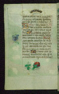 W.427, fol. 96v