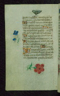 W.427, fol. 97v