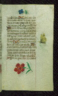 W.427, fol. 98r