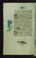 W.427, fol. 98v