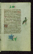 W.427, fol. 99r
