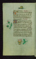 W.427, fol. 99v