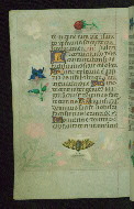 W.427, fol. 101v