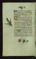 W.427, fol. 103v