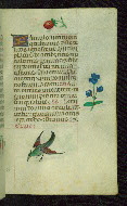 W.427, fol. 104r