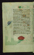 W.427, fol. 107v