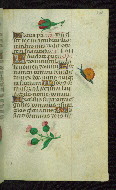 W.427, fol. 108r
