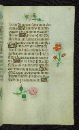 W.427, fol. 109r