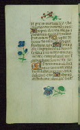 W.427, fol. 109v