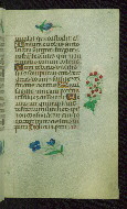 W.427, fol. 110r