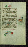 W.427, fol. 111r