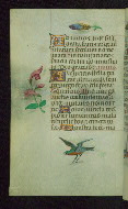 W.427, fol. 111v